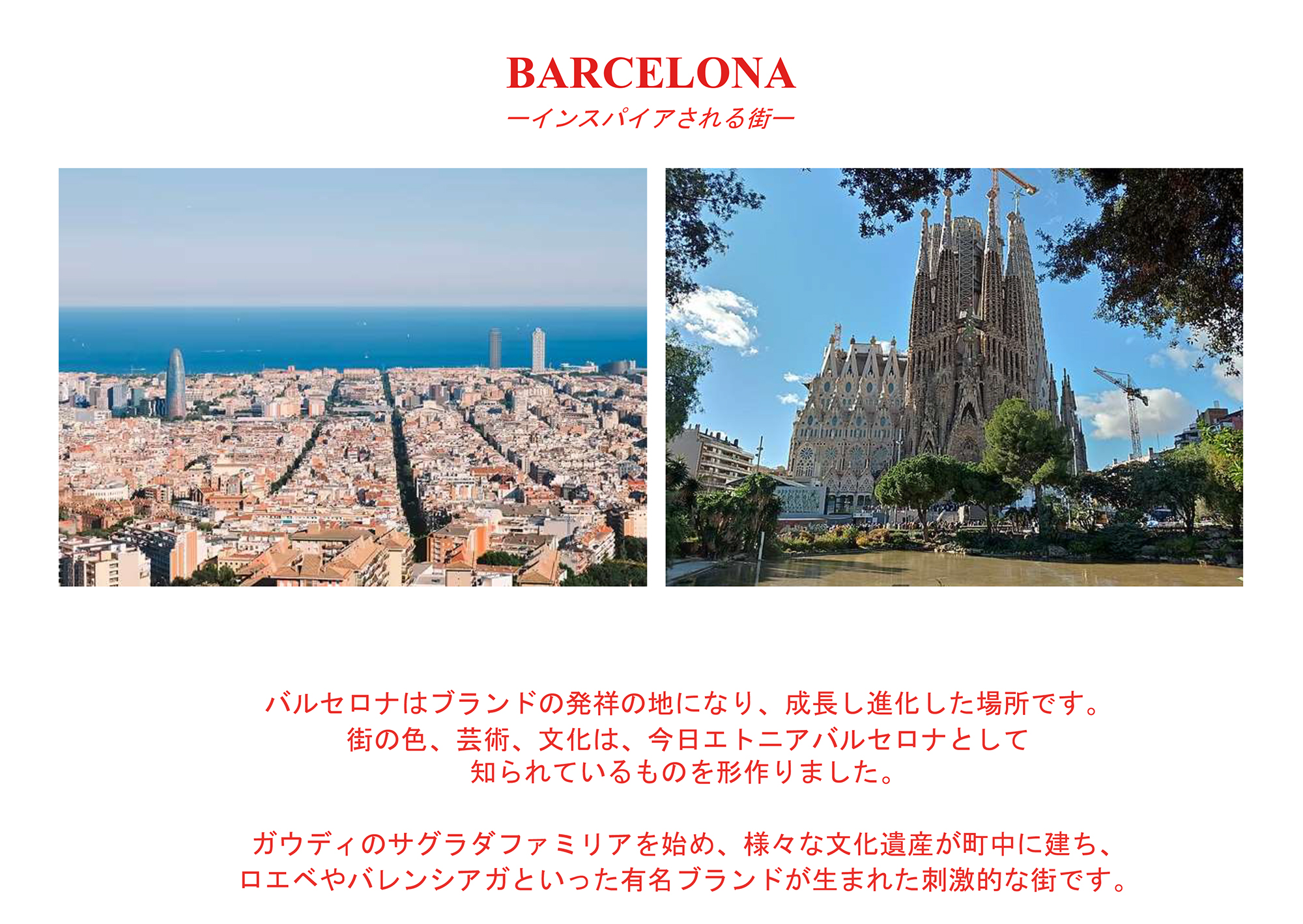 ブランドコンセプトのイメージ画像